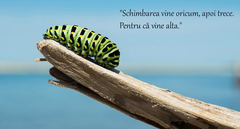 Abundența fără fotografii